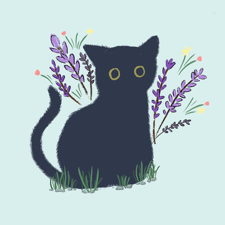 Lavender cat